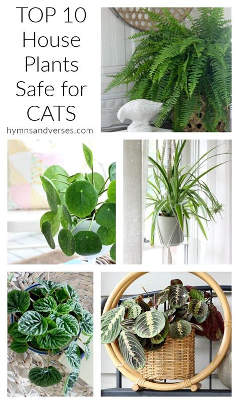 are fake flowers safe for cats